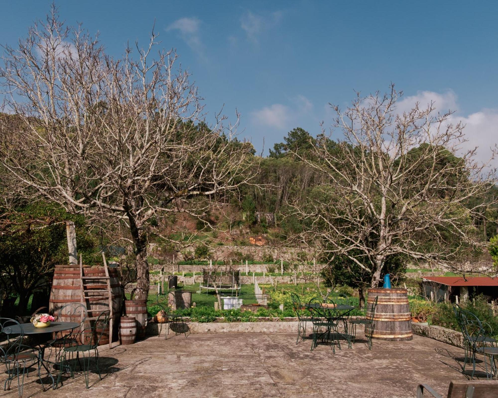 Вилла Quinta Da Quinhas Вила-Прайа-де-Анкора Экстерьер фото